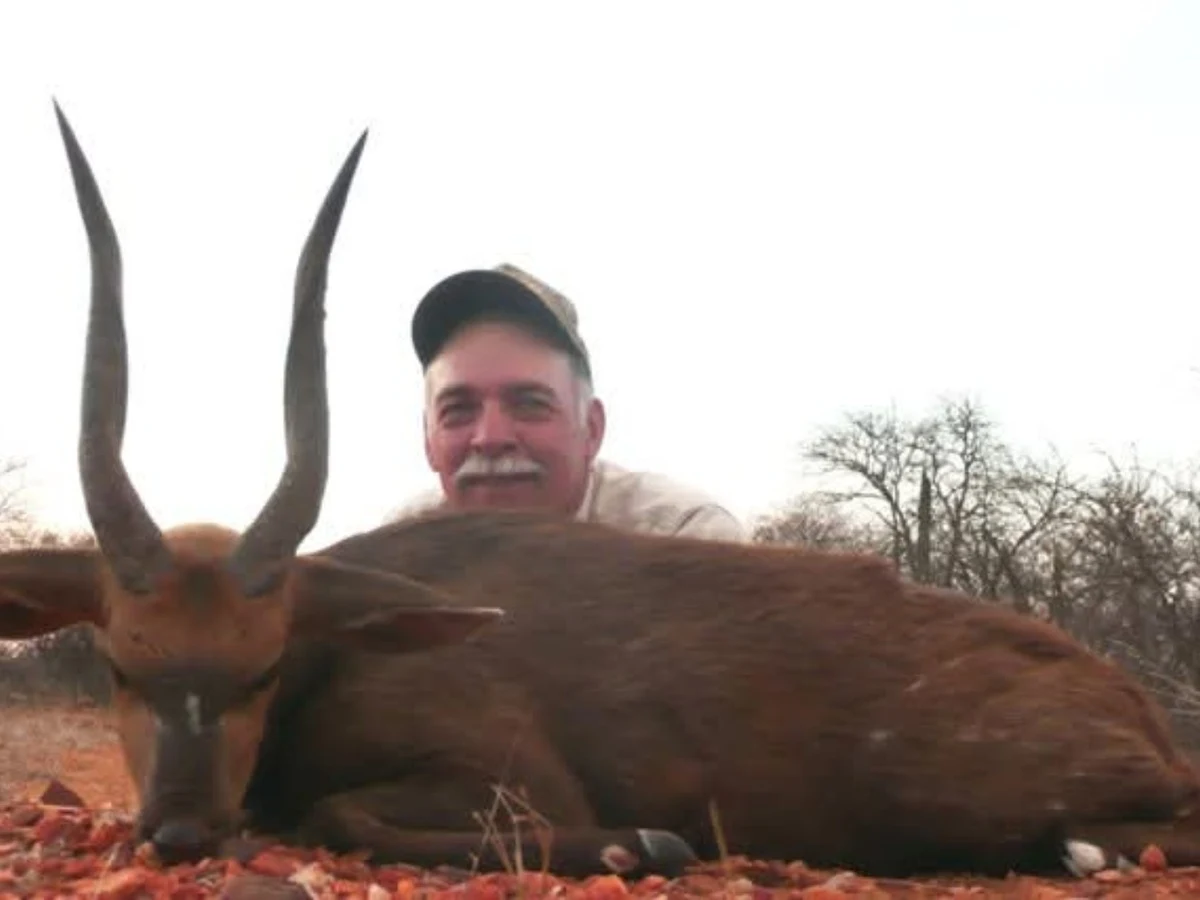 Limpopo Bushbuck