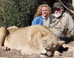 Lioness
