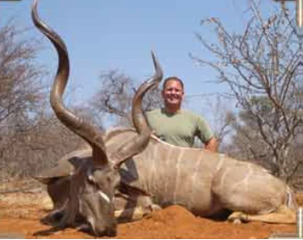 Greater Kudu
