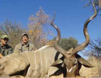 Greater Kudu