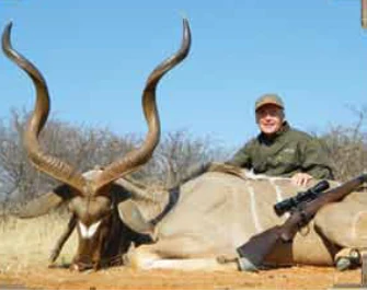 Greater Kudu