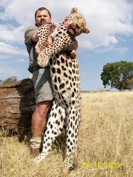 Leopard Hunt