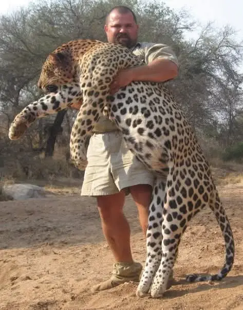 Leopard Hunt