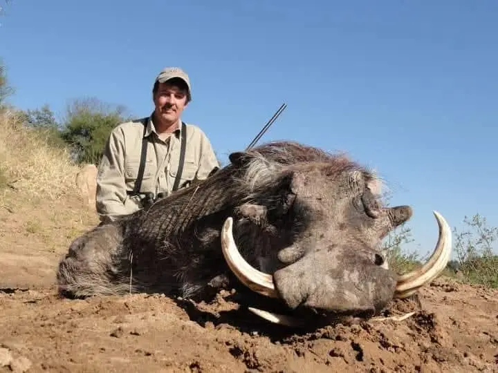 Warthog