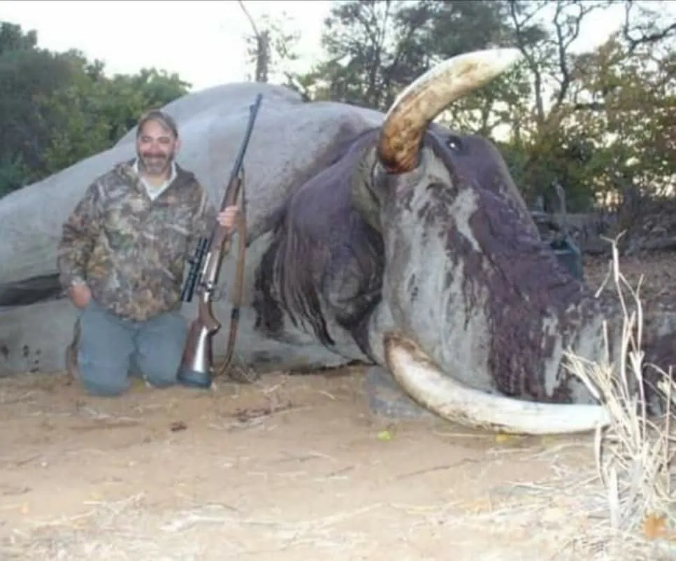 Elephant Hunting