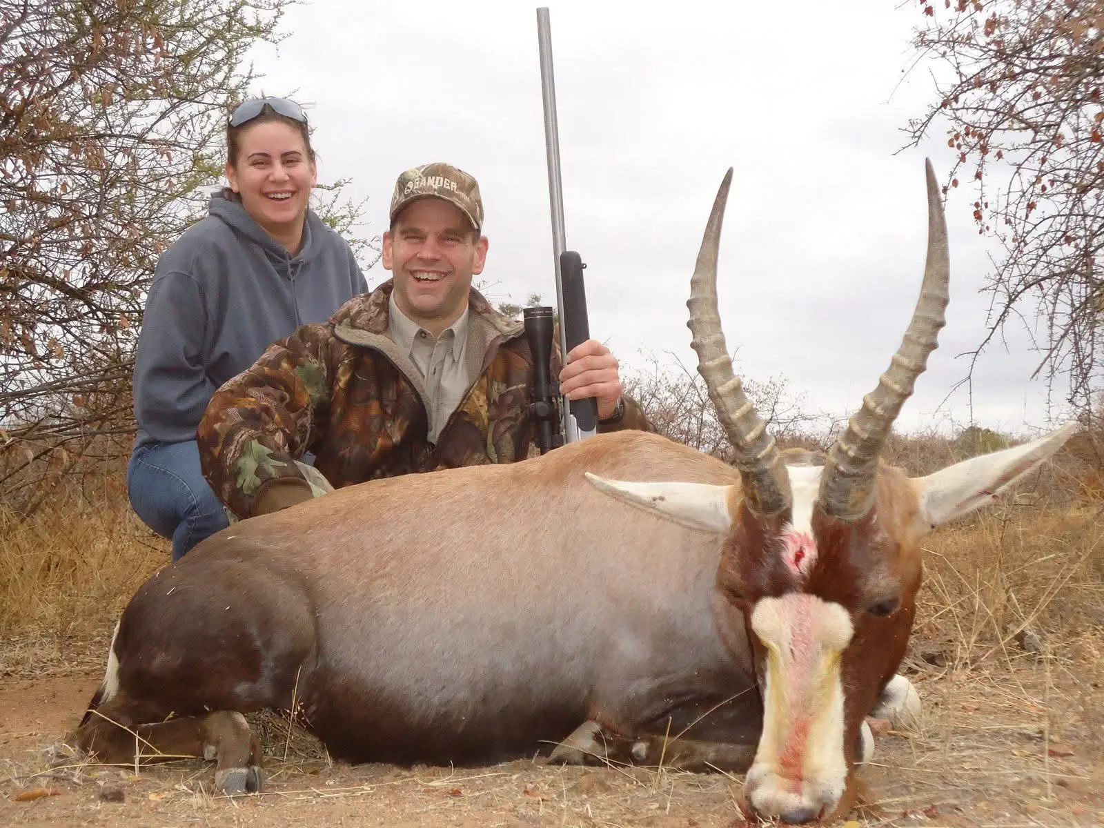 Blesbuck