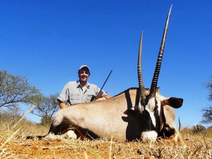 Gemsbuck