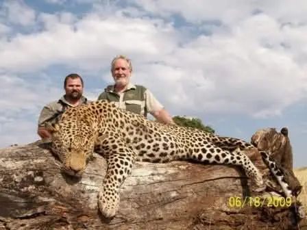 Leopard
