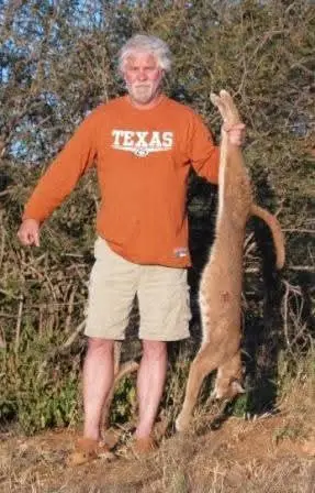 Caracal