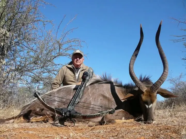 Nyala