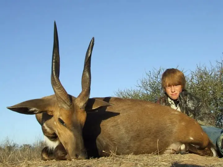 Limpopo Bushbuck