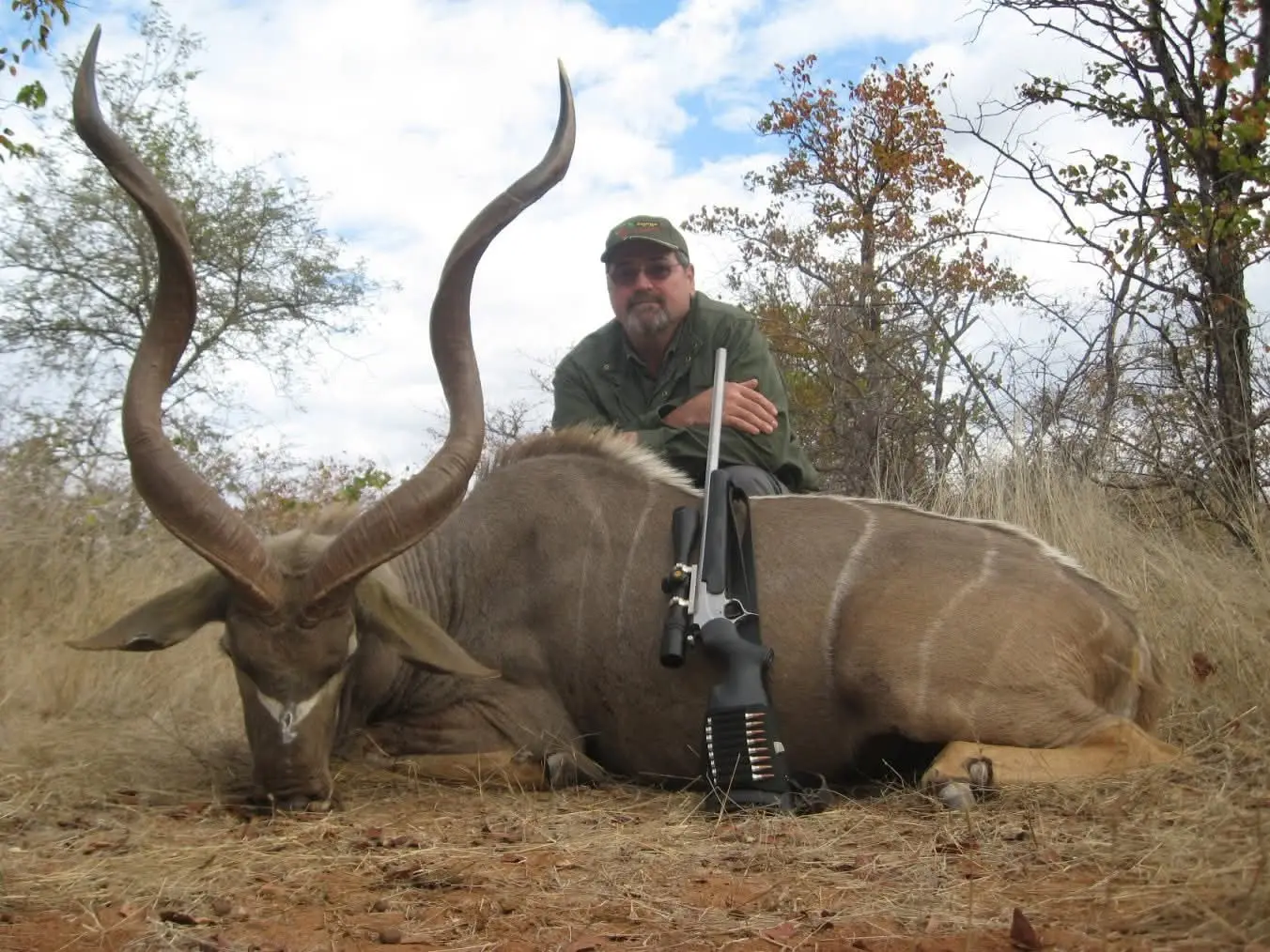 Greater Kudu