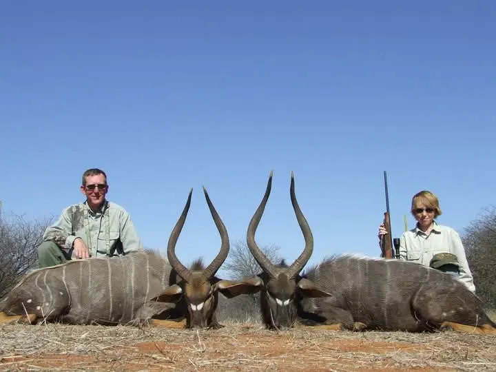 Nyala