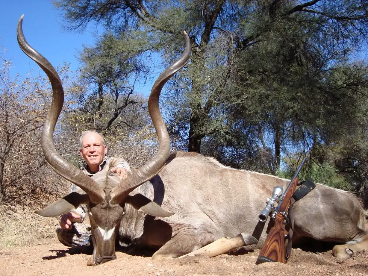 Greater Kudu