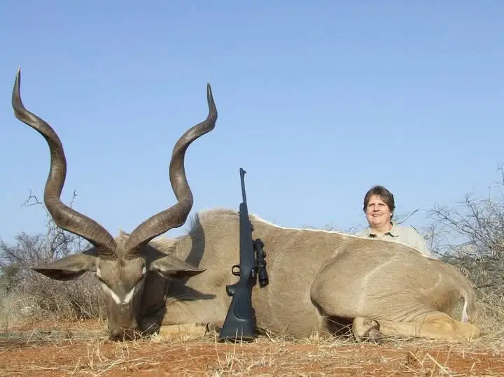 Greater Kudu