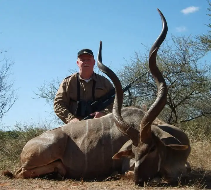Greater Kudu