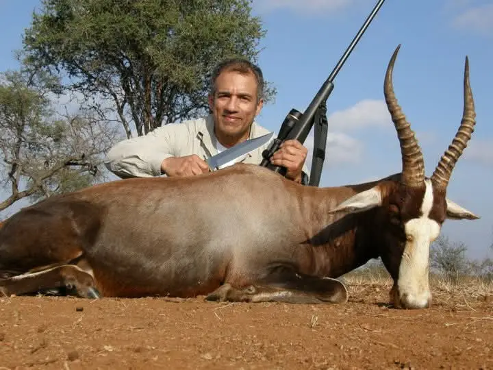 Blesbuck