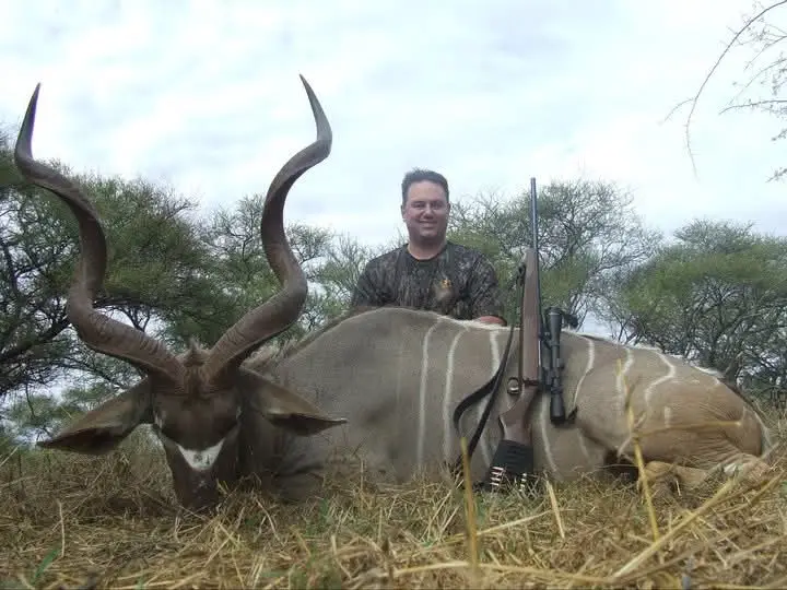 Greater Kudu