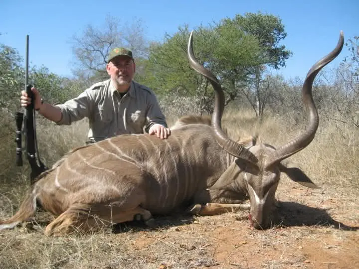 Greater Kudu