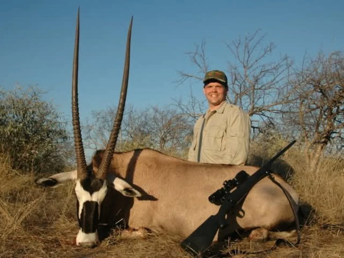 Gemsbuck (Oryx)