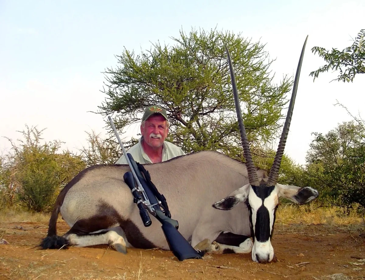 Gemsbuck (Oryx)