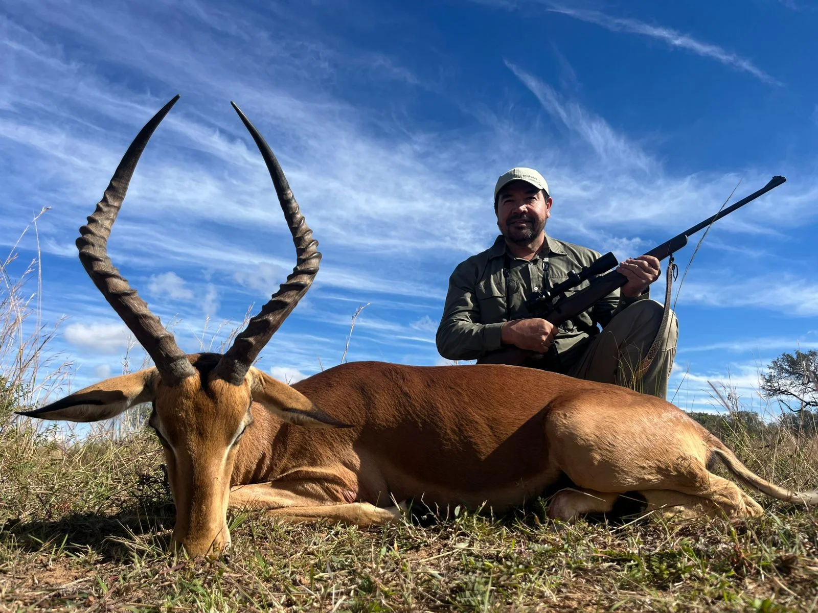 Impala