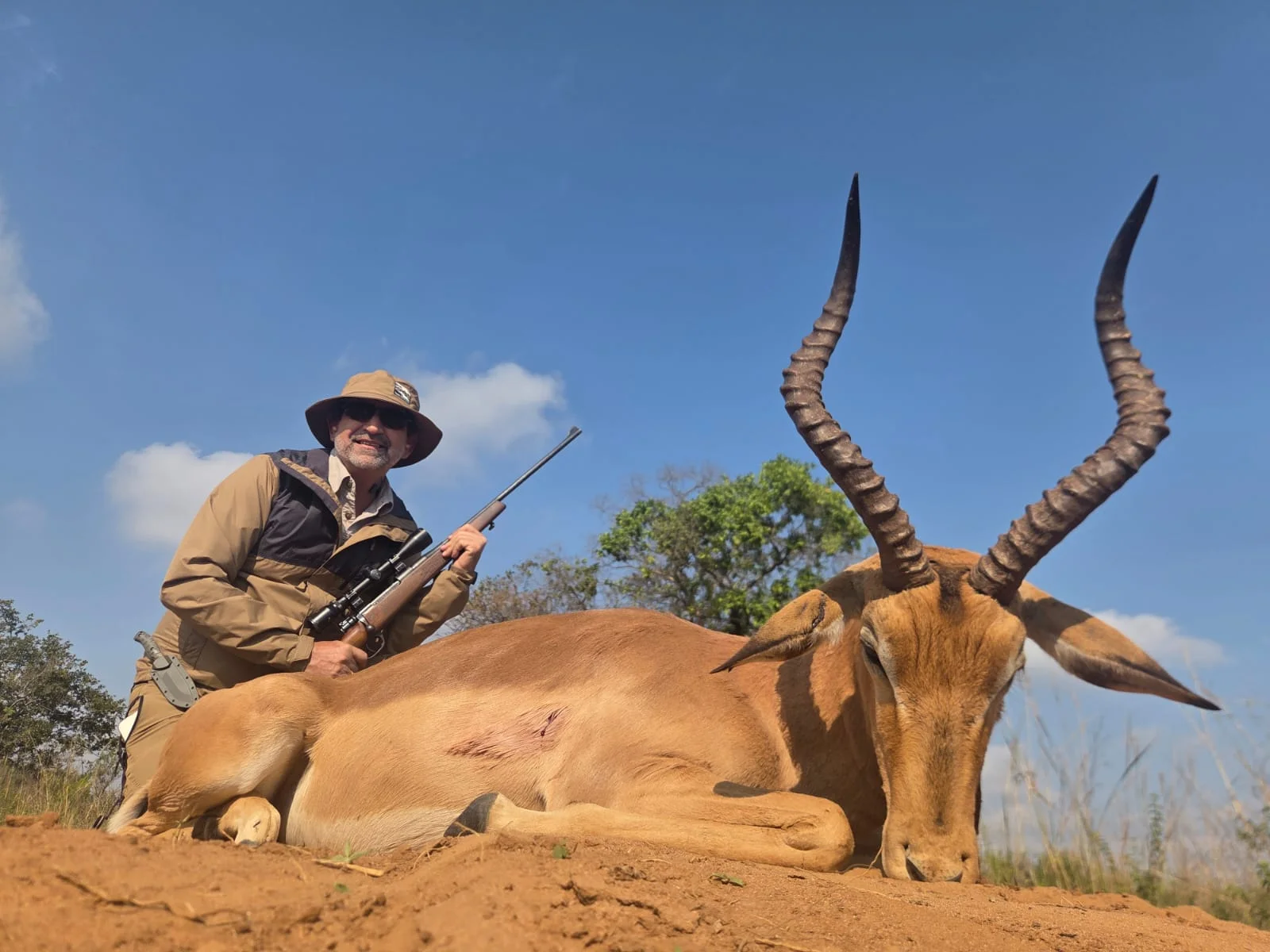 Impala