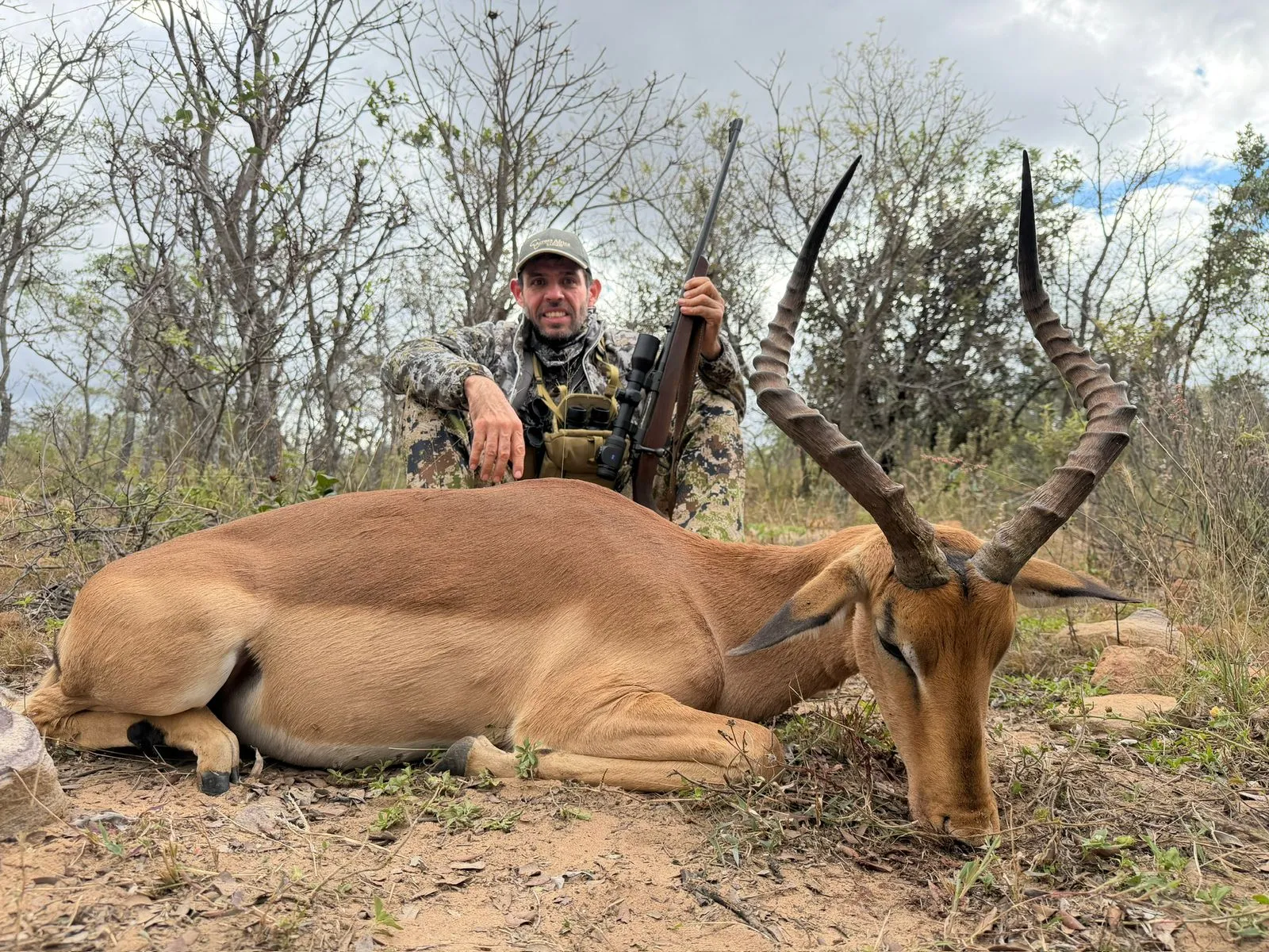 Impala