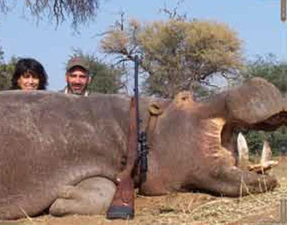 Hippo