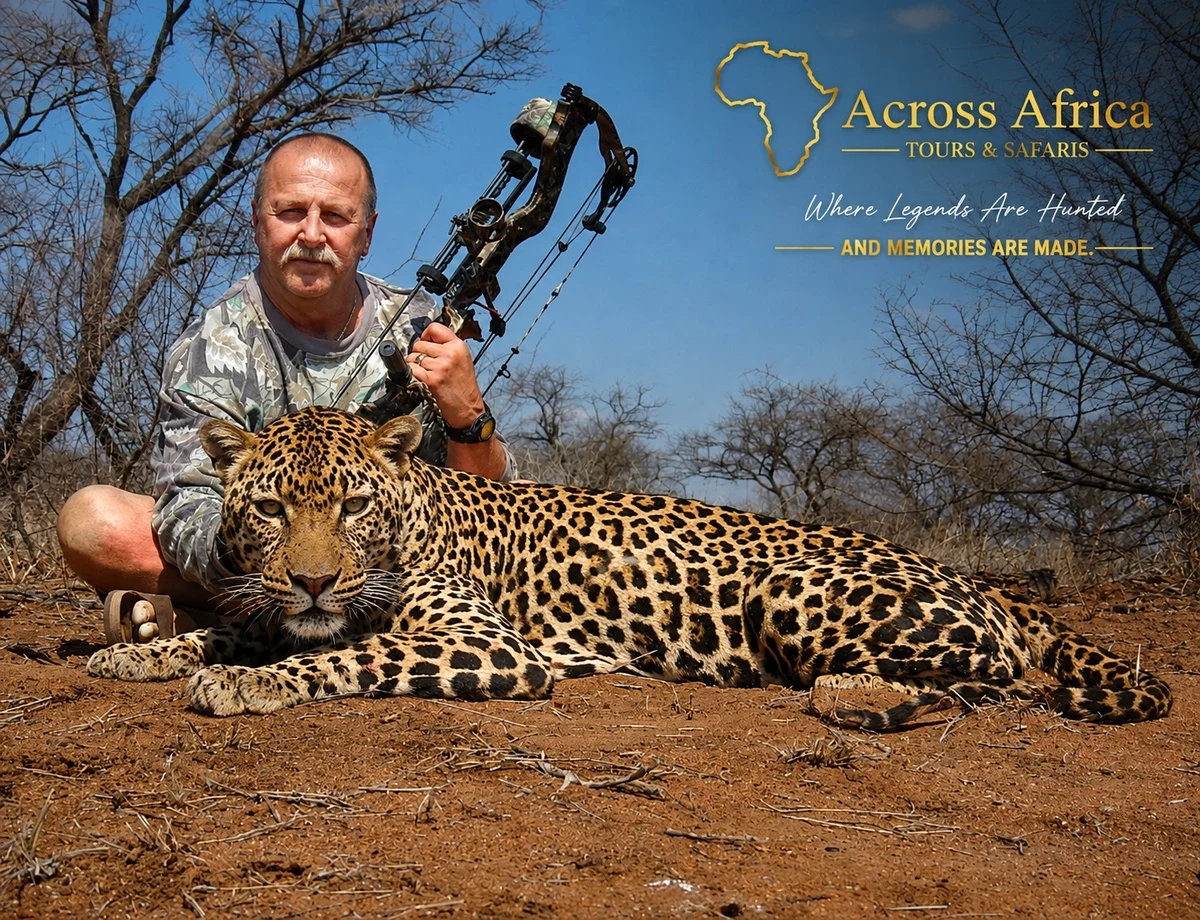 African Leopard