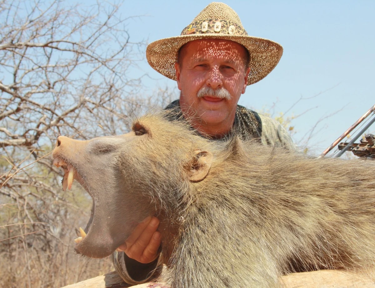 African Baboon