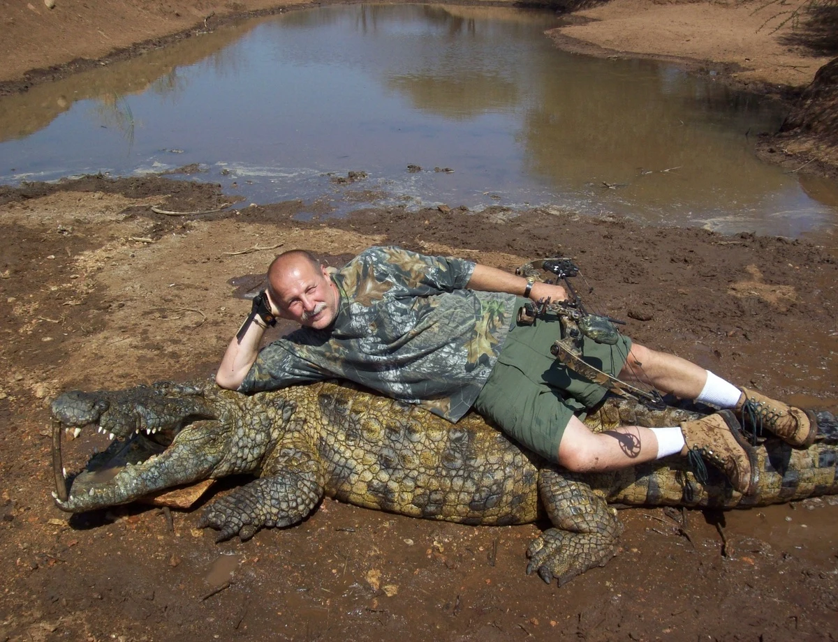 African Nile Crocodile
