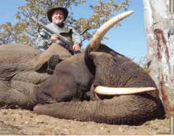 African Elephant