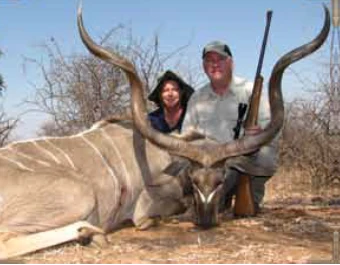 Greater Kudu