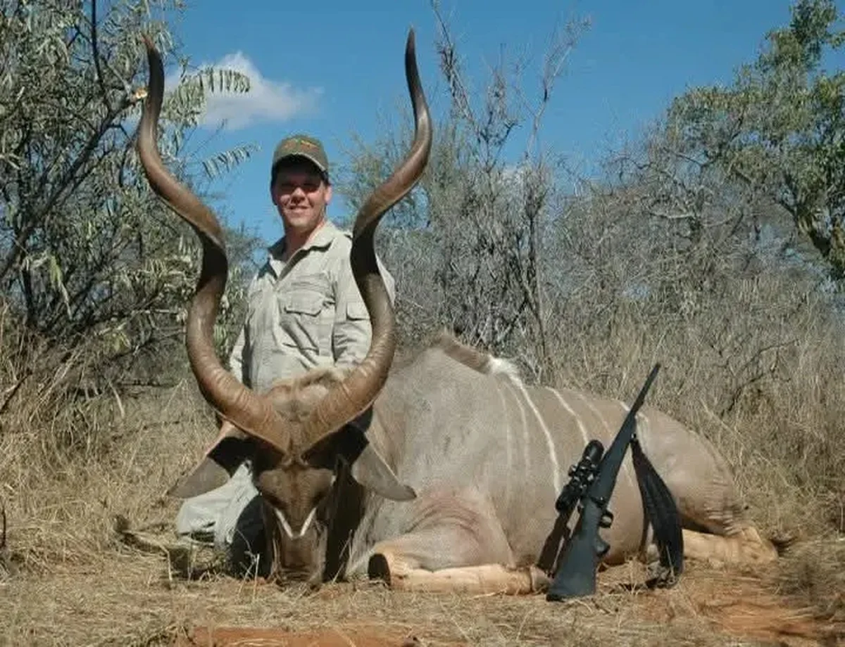 Greater Kudu