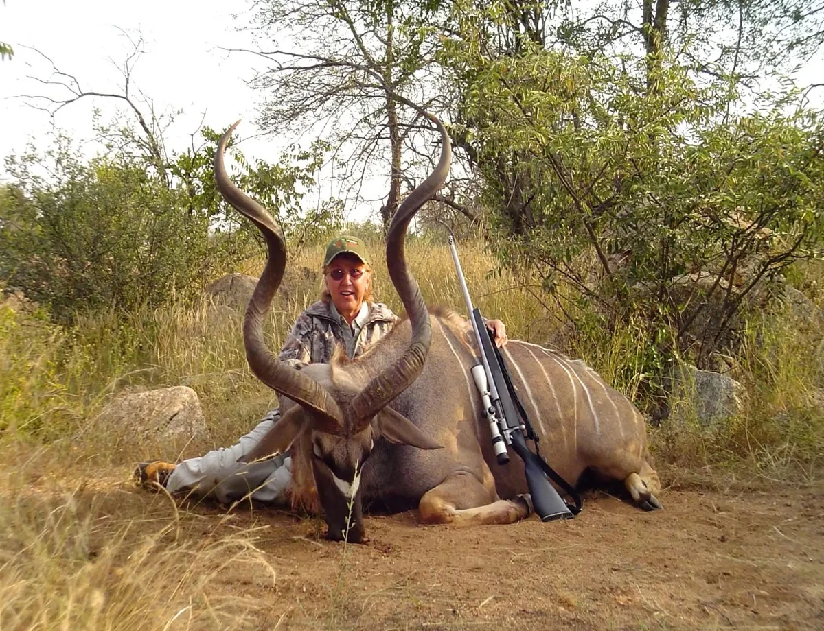 Greater Kudu
