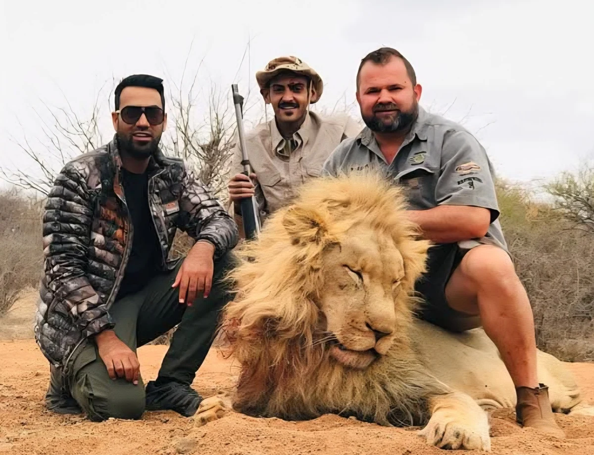 Lion