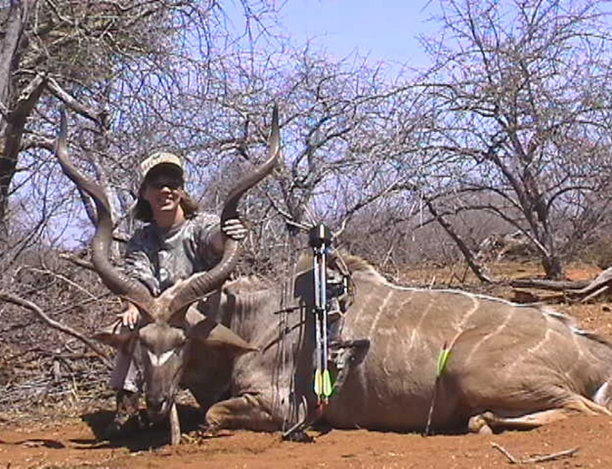 Greater Kudu