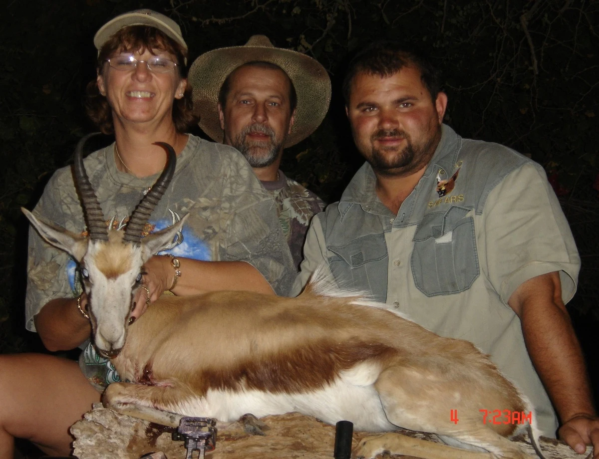 Common Springbuck