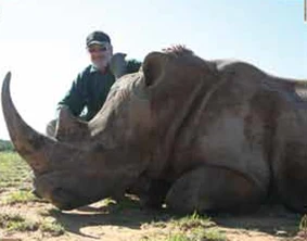 White Rhino