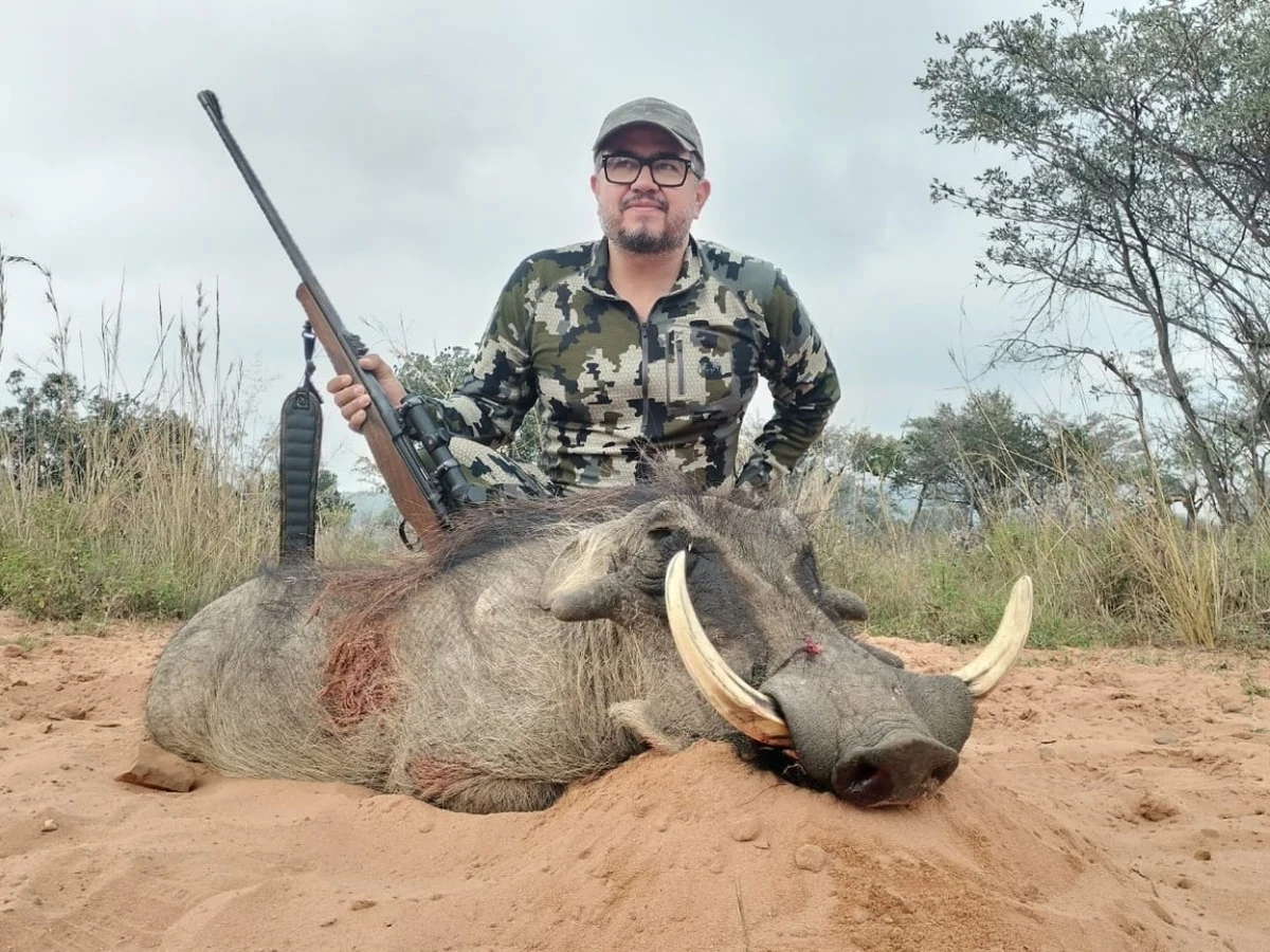 Warthog