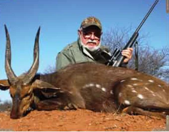 Limpopo Bushbuck