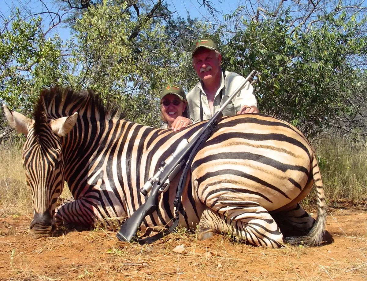 Burchelle Zebra