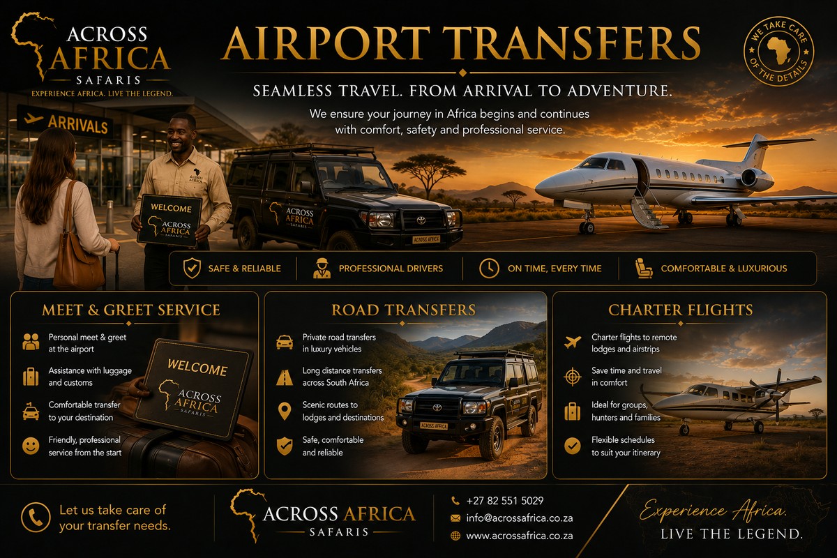 Airport Transfers